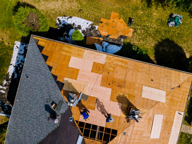 Best Metal Roofing Contractor  in Linton Hall, VA