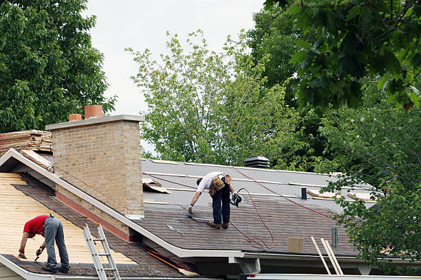 Best Storm Damage Roof Repair  in Linton Hall, VA